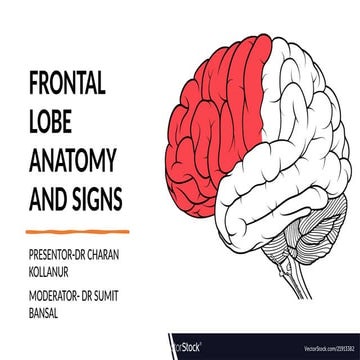 Frontal lobe anatomy and clinical application.pptx
