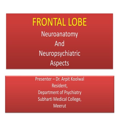 Frontal lobe dr. arpit