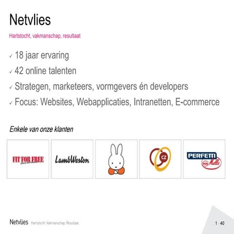 Fronteers Gebruikerstesten Netvlies