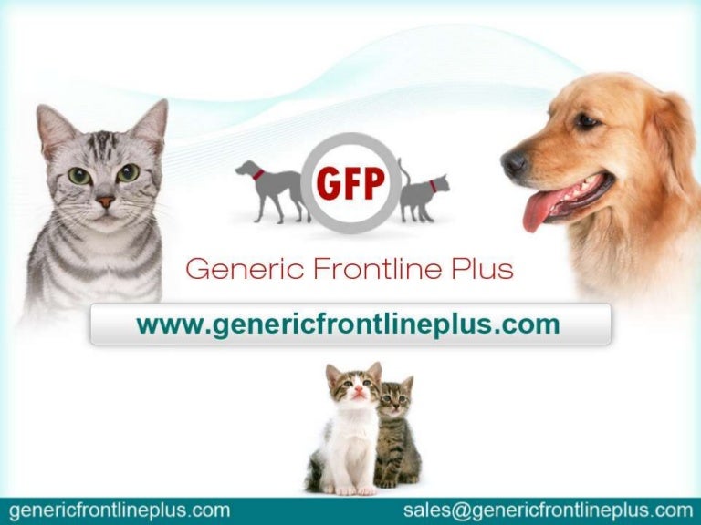 frontline spot on medium dog