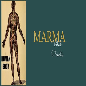 Front Side Marma-01-1.pdf to the pint overview | PDF