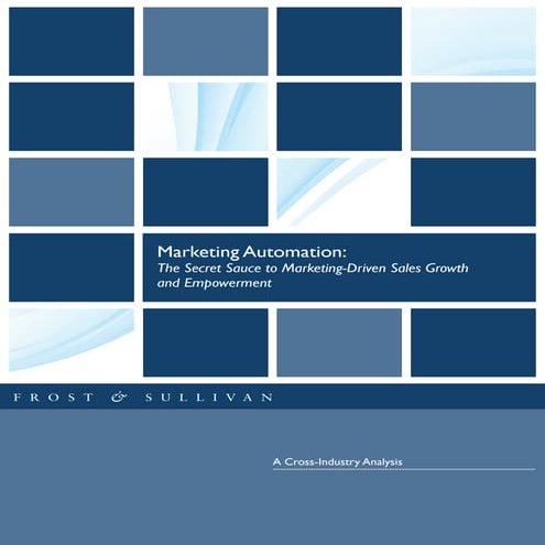 Frost sullivan-marketing-automation-2013