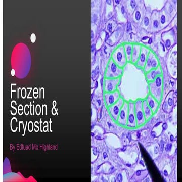 Frozen section &amp; cryostat