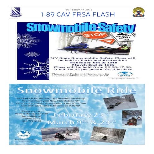 FRSA Flash 01 FEB 13