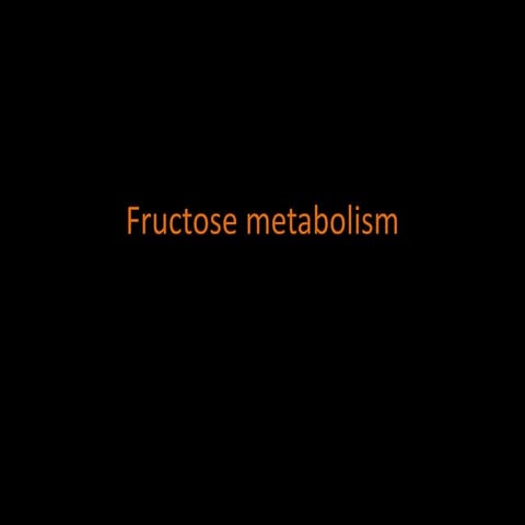 Fructose metabolism