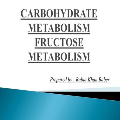 FRUCTOSE METABOLISM