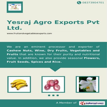 Yesraj Agro Exports Pvt Ltd., Pune, Fresh Fruits