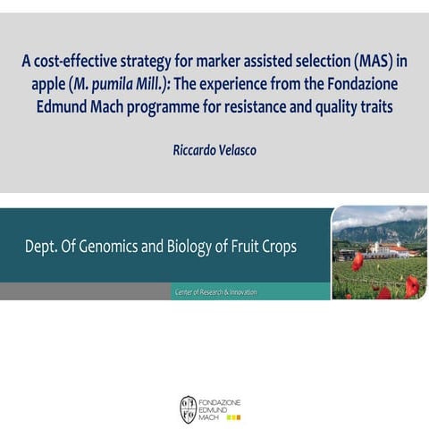 Fruit breedomics workshop wp6 a cost effective strategy for mas riccardo velasco