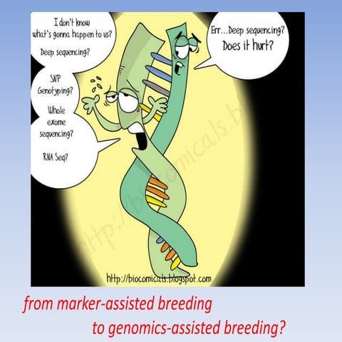 Fruit breedomics workshop wp6 from marker assisted breeding to genomics assis...