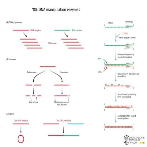Single Nucleotide Polymorphism Genotyping Using Kompetitive Allele ...