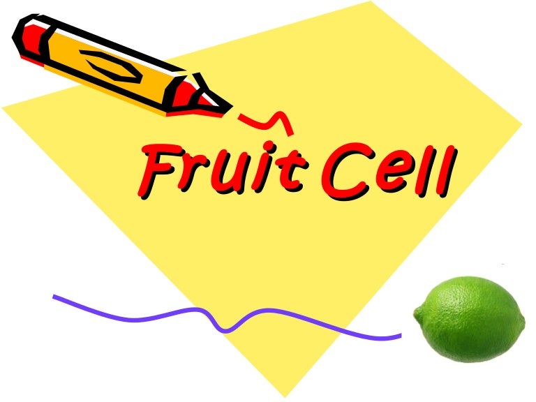 Fruit cell