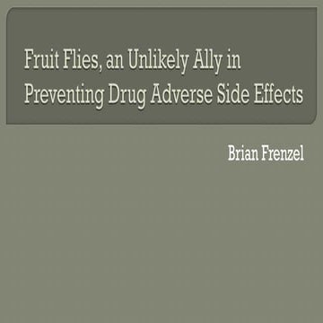 Fruit Flies, an Unlikely Ally in Preventing Drug Adverse Side Effects | PPT