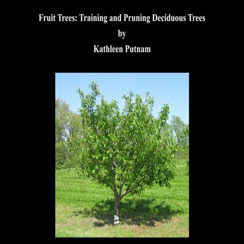 Fruit+pruning+powerpoint+copy.pdf for pruning of fruit trees