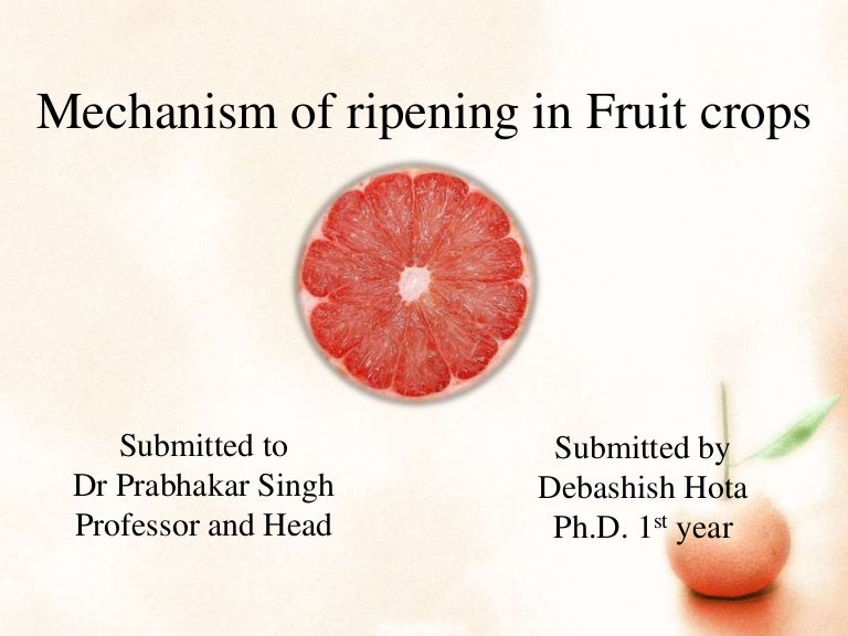 Mechanism of Fruit ripening