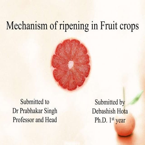 Mechanism of Fruit ripening