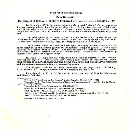 Fruit rot of mandarin orange