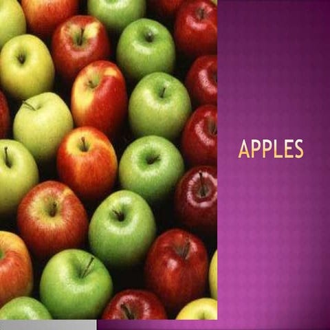 Fruits   apples