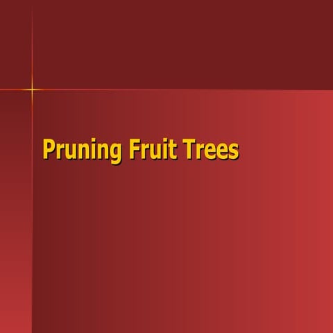 Fruits   tree pruning
