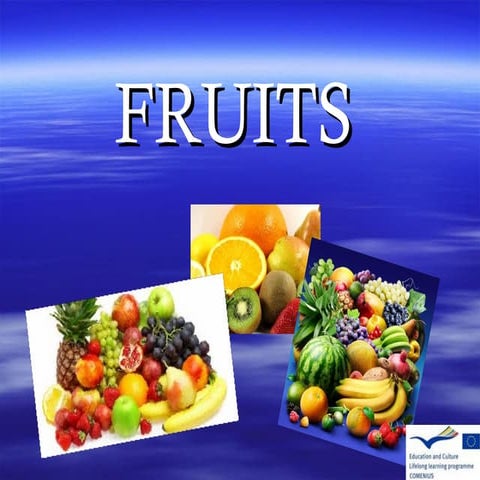 Fruits[1]