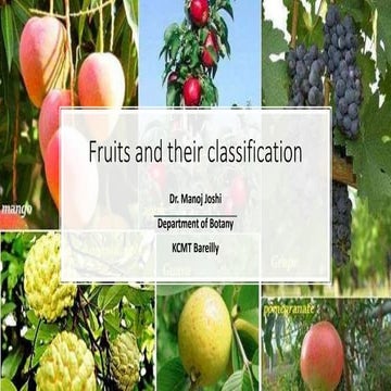 Fruits and their classification.pptx