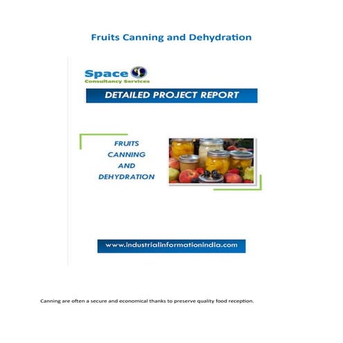 Fruits Canning and Dehydration Project Report