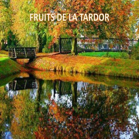 Fruits de la tardor