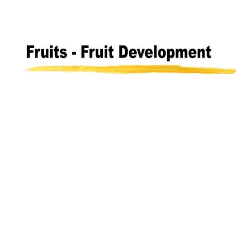Fruits Development
