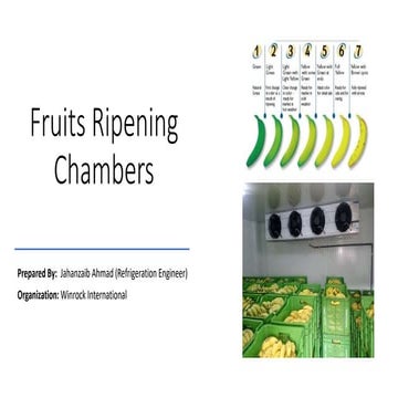Fruits Ripening Chambers.pptx