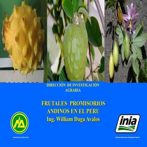Frutales  promisorios andinos en el peru