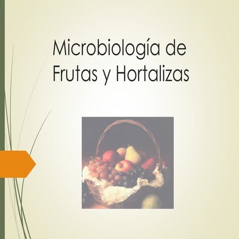 FRUTAS-Y-HORTALIZAS-alimentos 2010-1.ppt