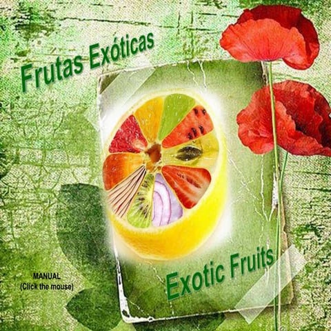 Frutas exóticas / Exotic fruits