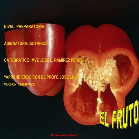 clasificacion y estructura del fruto | PPTX