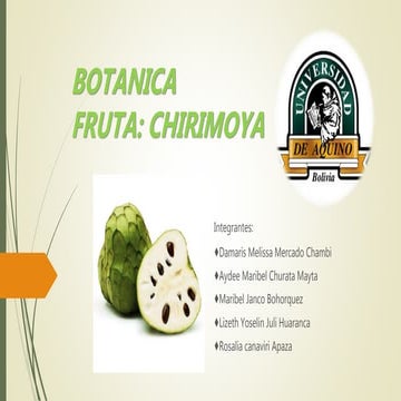 FRUTO CHIRIMOYA.pptx