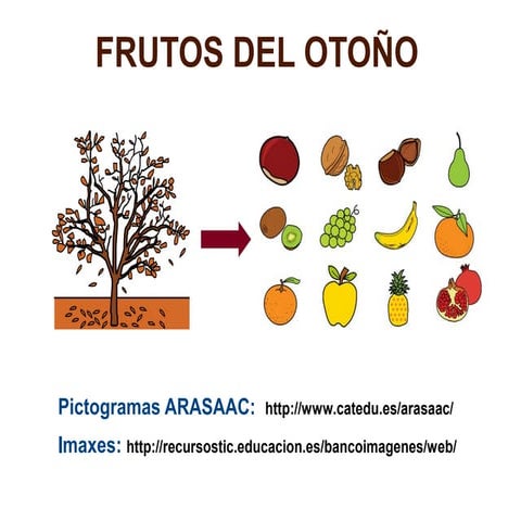 Frutos del otoño