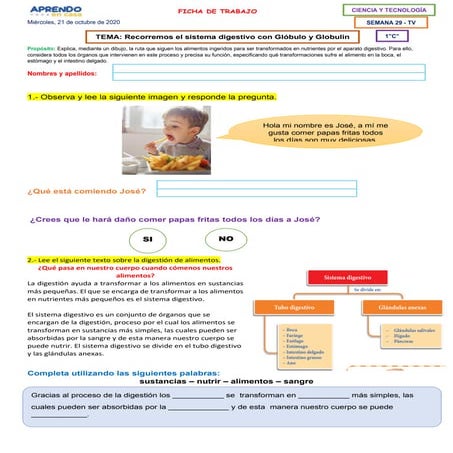 F s29 21 oct   tv- ciencia y tecnologia