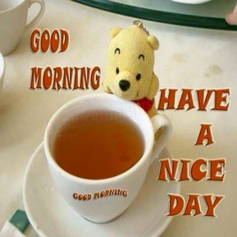 Merger & Acquisition, Insurance and Securitisation