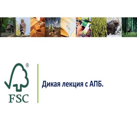 Дикая лекция: Секреты леса | PPT