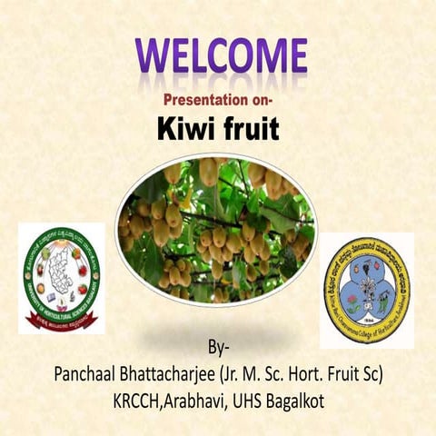 kiwifruit production in india