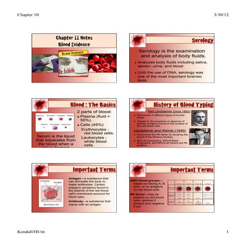 CHapter 11 Notes - Blood Analysis