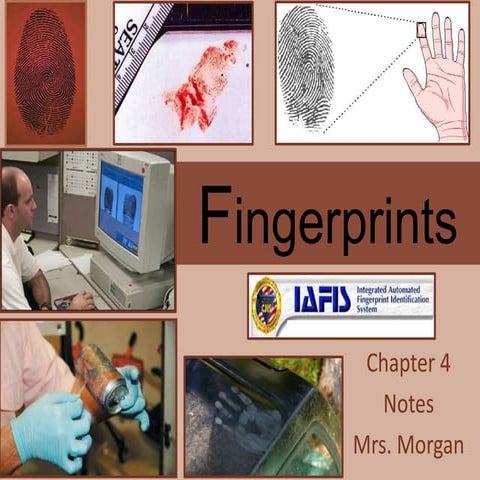 Forensics ch 4 notes