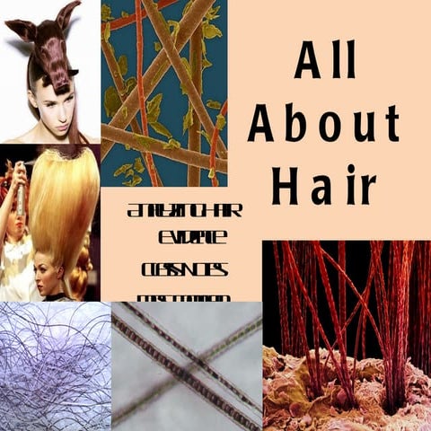 forensics ch 5 & 6 notes