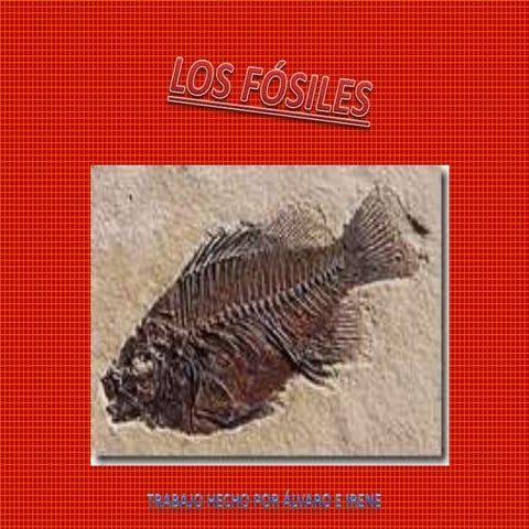 Los Fósiles