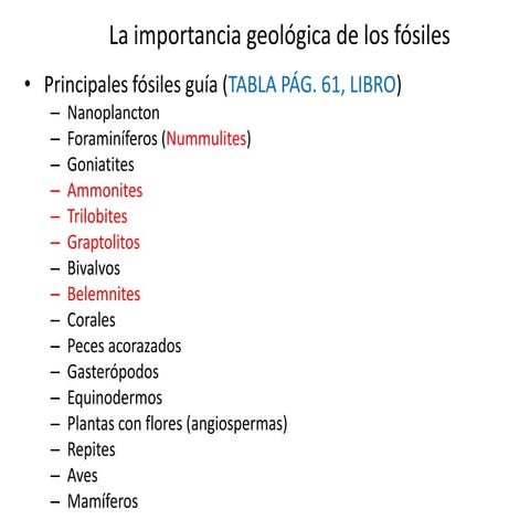 Fósiles guía - Imágenes