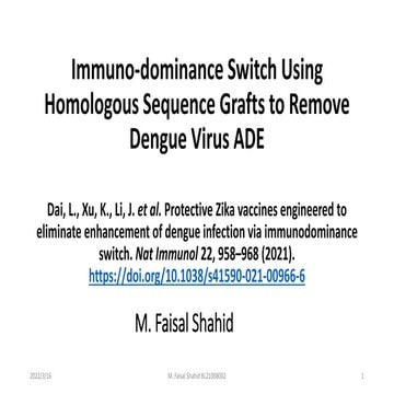 Protective ZIKV Vaccines Engineered to eliminate enhancement of dengue infect...