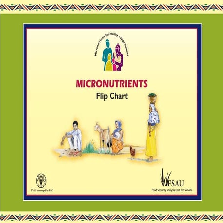 Fsnau   micronutrients-in-somalia-flipchart-english[1]