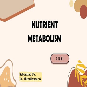 Comprehensive Overview of Nutrient Metabolism and Its Physiological Significance