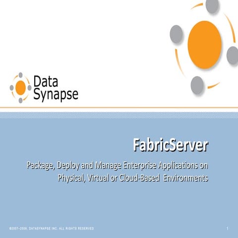 FabricServer Technology Overview