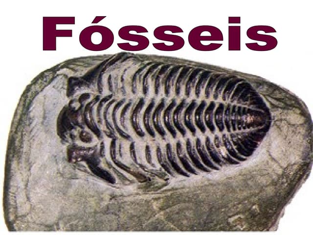 Fósseis