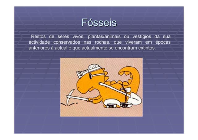 Fósseis e História da Terra