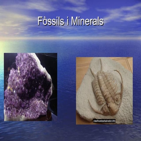 Fòssils i minerals